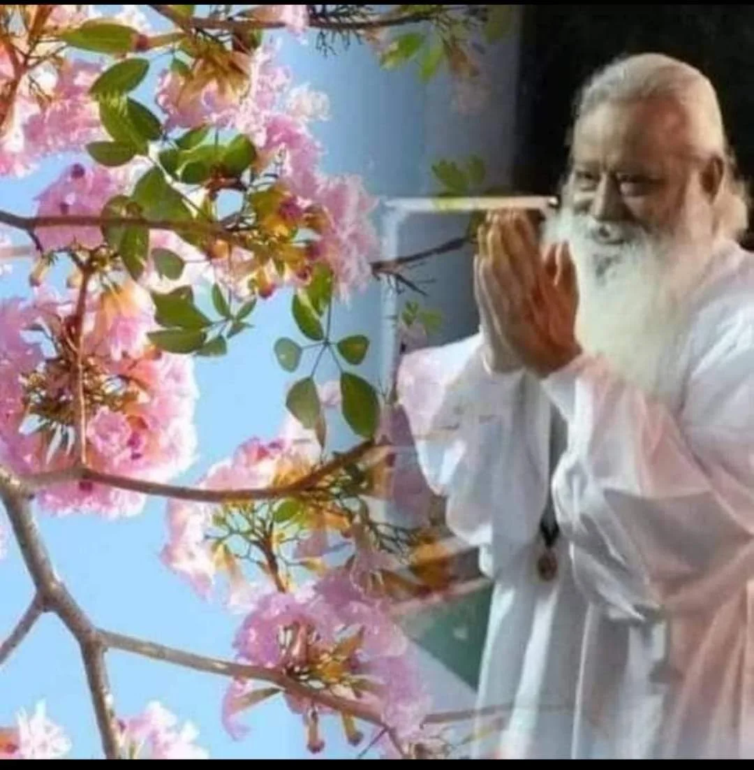 WhatsApp Image 2026-01-20 at 12.37.40